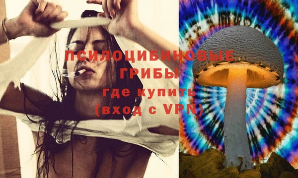 а пвп мука Верея