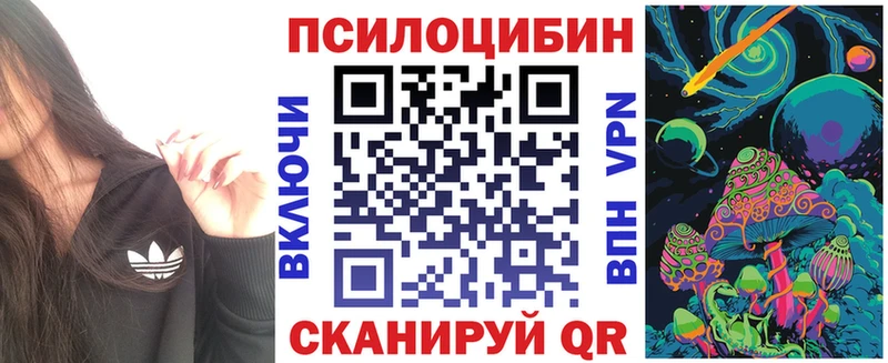 Галлюциногенные грибы Psilocybe  Купить закладки  Маркс 
